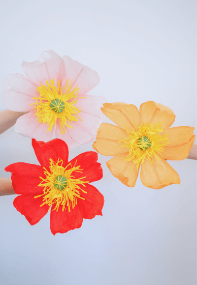 Trio of Big Hanging Poppies with Coffee and Cake