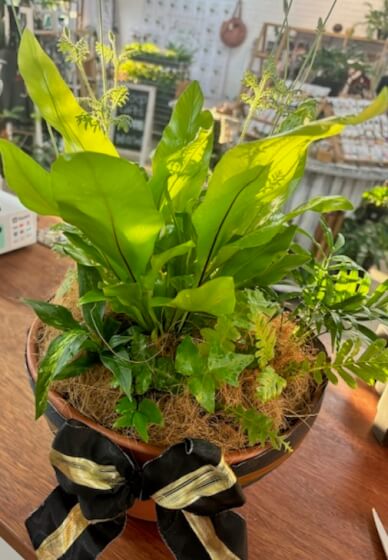 Tropical Table Centre Piece Workshop