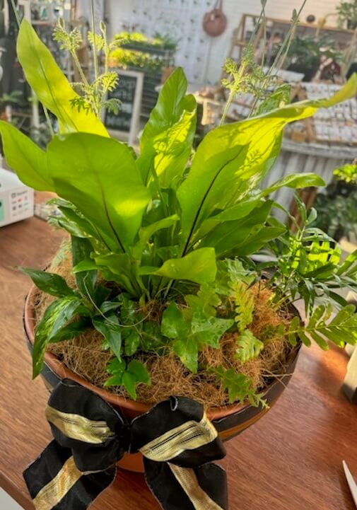 Tropical Table Centre Piece Workshop