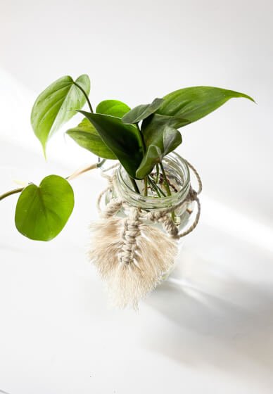 Upcycled Propagation Vase Workshop