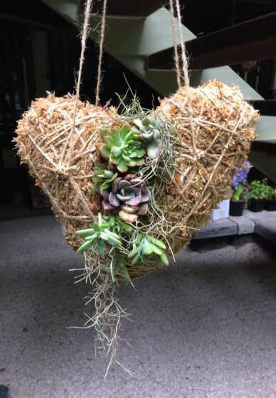 Valentine Love Heart Kokedama Workshop