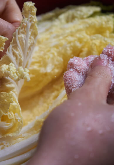 Vegan Fizzy Kimchi Making Demo