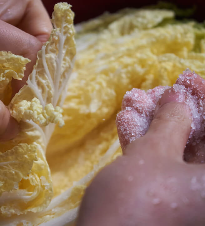 Vegan Fizzy Kimchi Making Demo