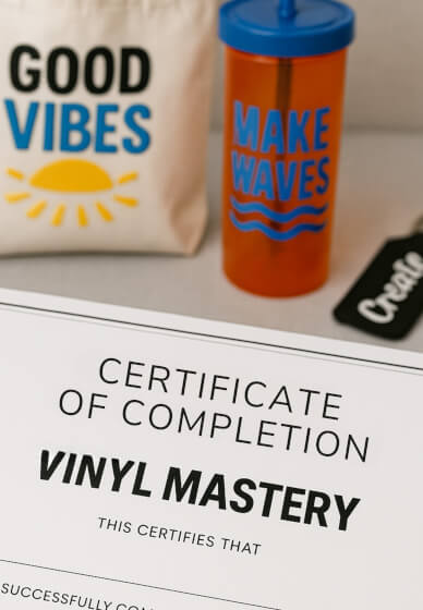 Vinyl Mastery: from Beginner to Pro