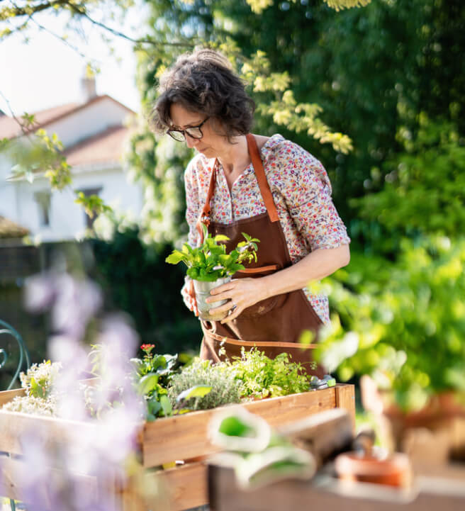 Virtual Garden Design Consultation