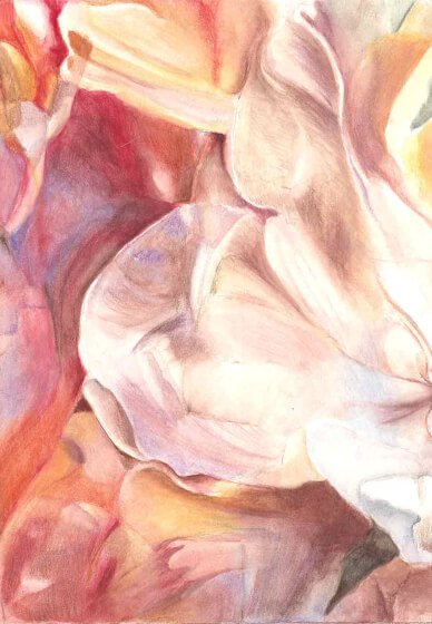 Virtual Intro Watercolour Pencil and Fixing Hidden Secrets