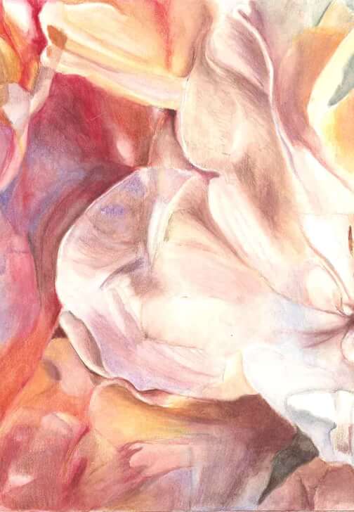 Virtual Intro Watercolour Pencil and Fixing Hidden Secrets