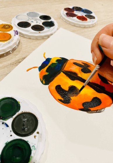 Watercolour Class: Butterflies, Bees and Native Insects