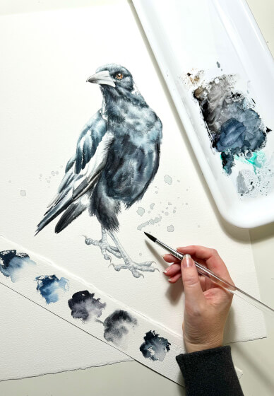 Watercolour Class: Paint a Magpie