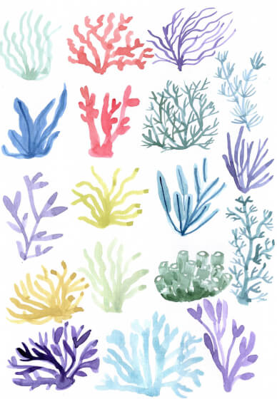 Watercolour for Beginners Workshop: Ocean Inspired Art
