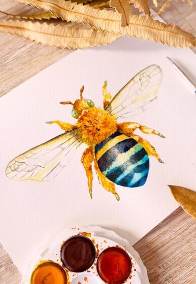 Watercolour Paint and Sip Class: Native Insects