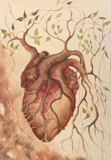 Watercolour Painting Class: Anatomical Heart