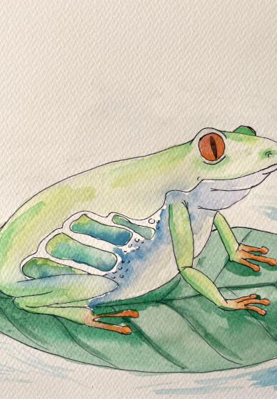 Watercolour Painting Class for Kids: Tree Frogs