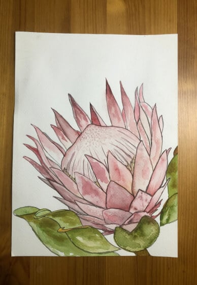 Watercolour Painting Class: Majestic Proteas