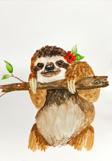 Watercolour Painting Class: Sloth