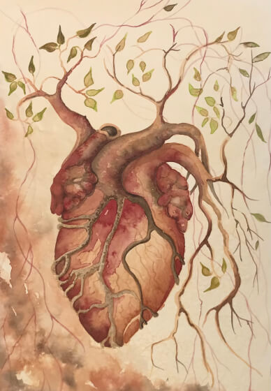 Watercolour Painting for Beginners: Anatomical Heart