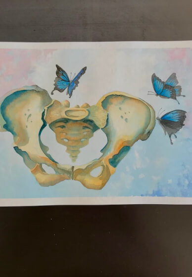Watercolour Painting for Beginners: Anatomical Pelvis