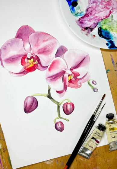 Watercolour Painting Workshop: Moth Orchid