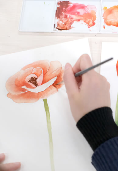 Watercolour Painting Workshop: Plants and Flowers