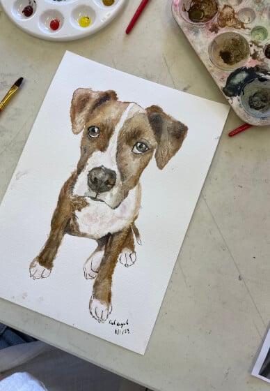 Watercolour Pet Portraits Class for Kids
