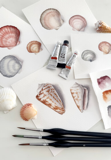 Watercolour Shell Painting Class for Beginners