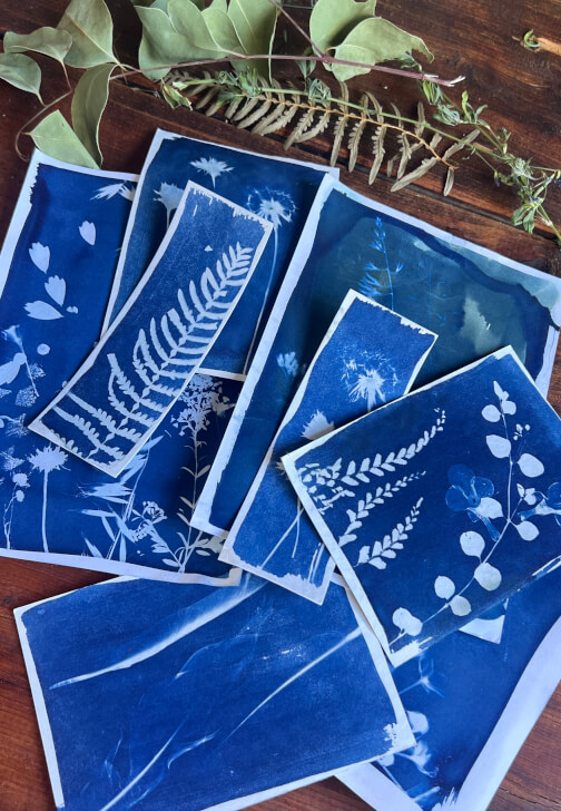 Wild Art – Cyanotype Self Portrait Experience