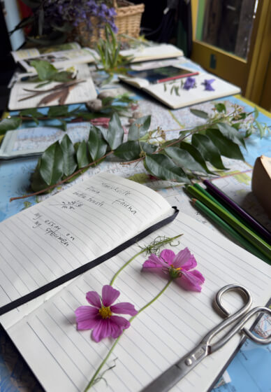 Wild Marrickville Field Guide Course for Kids