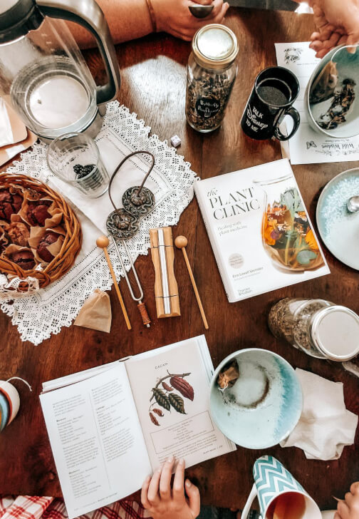 Wild Wisdom Mini Workshop: A Curated Nature Experience