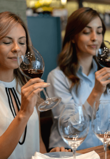 Wine Tasting 101 Experience