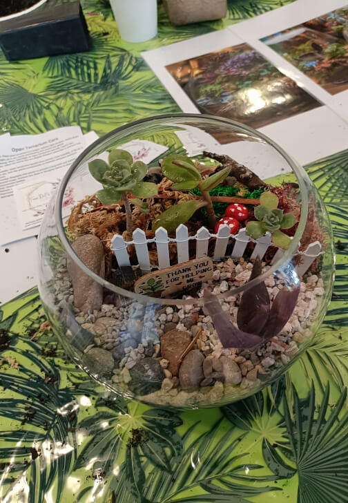 Winter Terrarium Workshop