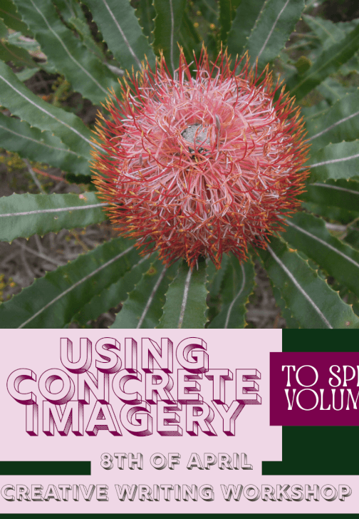 Writing Workshop: Use Concrete Imagery to Speak Volumes