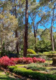 10 / 10 Portal: Manifestation Retreat - Perth Hills