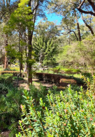10 / 10 Portal: Manifestation Retreat - Perth Hills