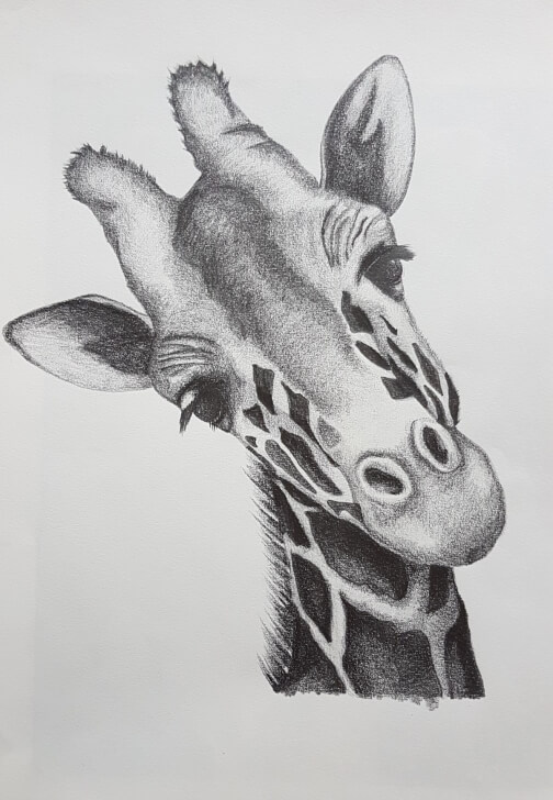 3-Day Sketching Workshop for Beginners