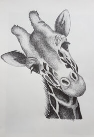 3-Day Sketching Workshop for Beginners