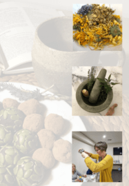 3 Night Nervous System Reset Retreat Workshop