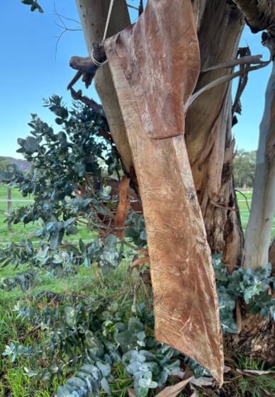 3 Night Nervous System Reset Retreat Workshop