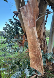 3 Night Nervous System Reset Retreat Workshop