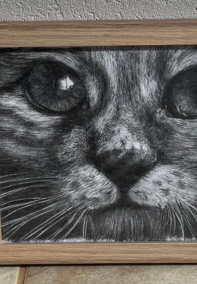 8 Week Adult Drawing Course