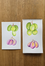 A 7-Day Watercolour Journey to Mindful Creativity