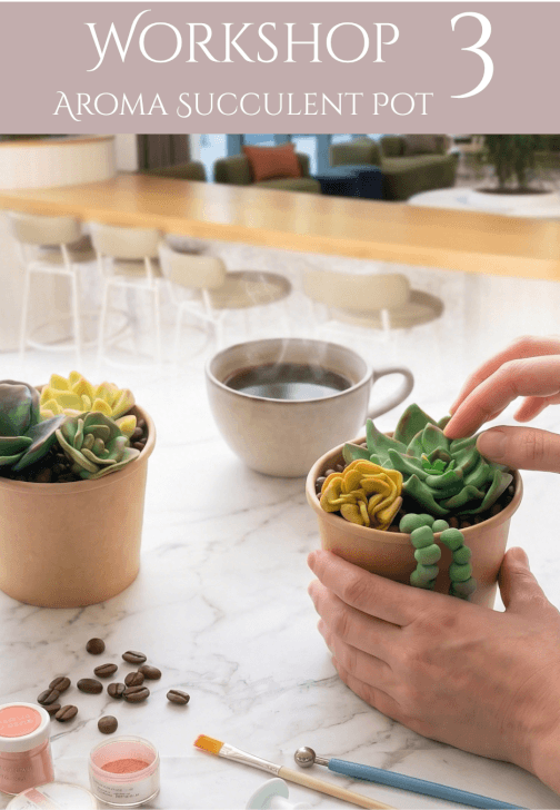 A Mindful Workshop Afternoon