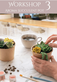 A Mindful Workshop Afternoon