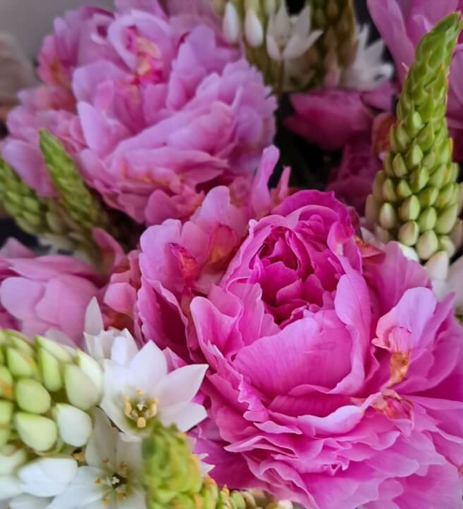 Beachside Floral Arrangement Workshop for Beginners