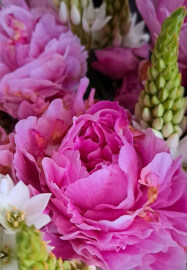 Beachside Floral Arrangement Workshop for Beginners