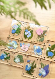 Acrylic Pressed Flower Frame Workshop