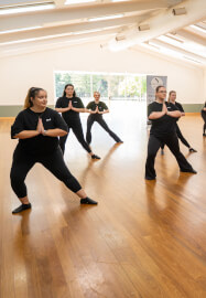 Adult Dance Fitness Class for Beginners