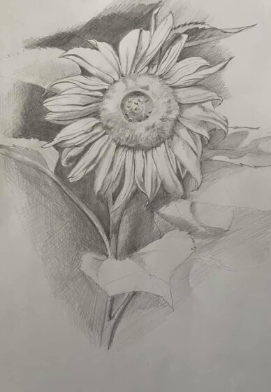 Adult Drawing and Painting Class