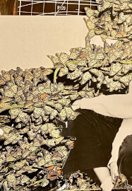 Afternoon Imaginarium Collage Workshop (ages 8-100 Years)