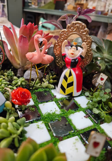 Alice in Wonderland Succulent Garden Workshop