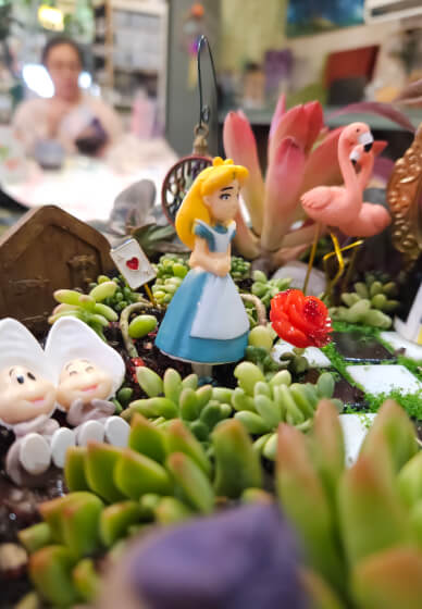 Alice in Wonderland Succulent Garden Workshop
